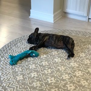 Meet your Posher, Curtis